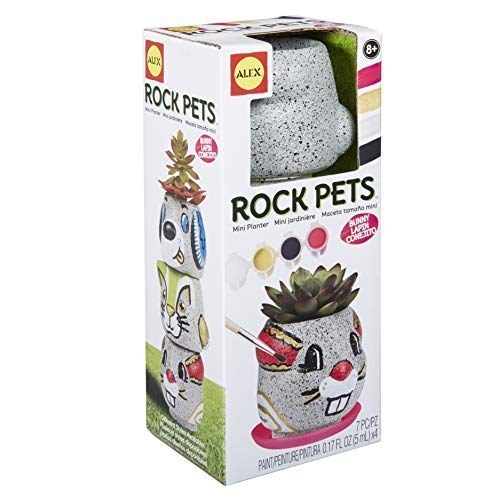 Rock Pets Mini Planter Bunny